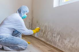 Mold Remediation for Rental Properties in Pleasantville, IA